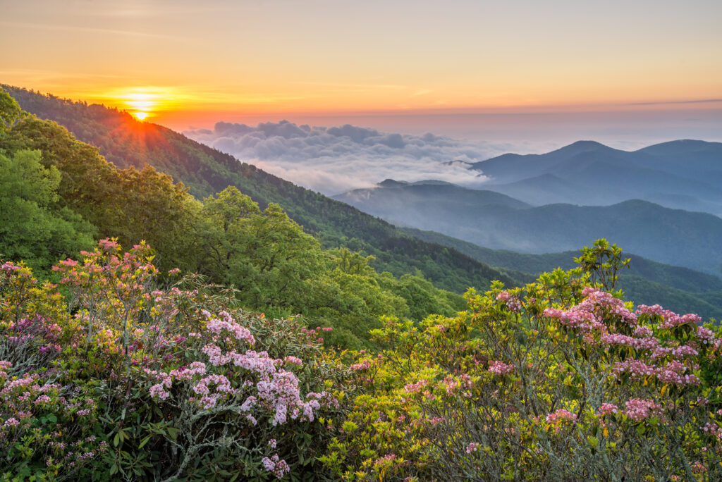 NC High Country Real Estate, Boone, Blowing Rock, Banner Elk, Fleetwood, North Carolina, Homes for Sale, Land For Sale, Sugar Mountain Homes for sale