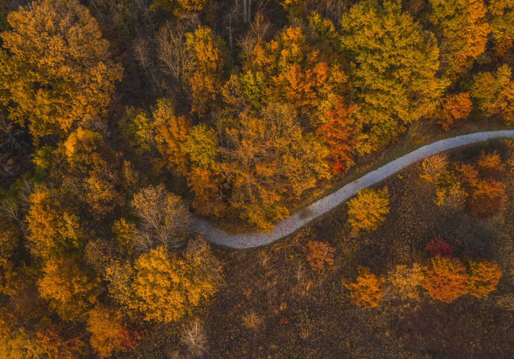 NC High Country Real Estate, Boone, Blowing Rock, Banner Elk, Fleetwood, North Carolina, Linville, NC Homes for Sale, Land For Sale, Sugar Mountain Homes for sale