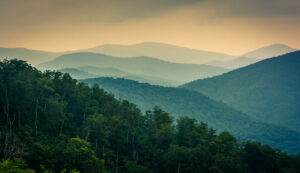 NC High Country Real Estate, Boone, Blowing Rock, Banner Elk, Fleetwood, North Carolina, Linville, NC Homes for Sale, Land For Sale, Sugar Mountain Homes for sale