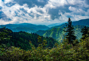 NC High Country Real Estate, Boone, Blowing Rock, Banner Elk, Fleetwood, North Carolina, Linville, NC Homes for Sale, Land For Sale, Sugar Mountain Homes for sale