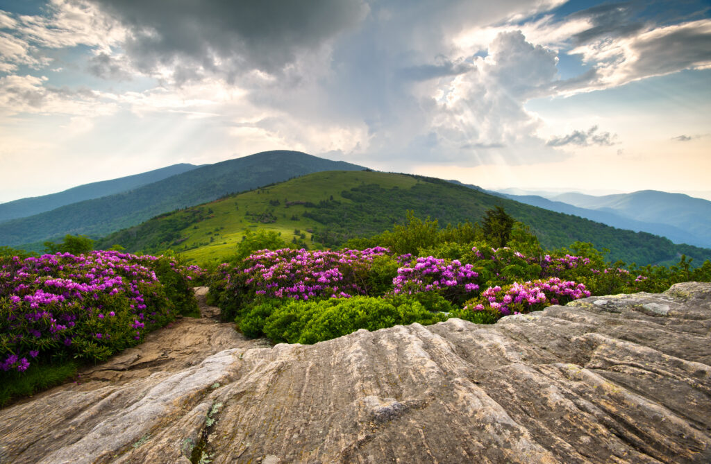 NC High Country Real Estate, Boone, Blowing Rock, Banner Elk, Fleetwood, North Carolina, Homes for Sale, Land For Sale, Sugar Mountain Homes for sale