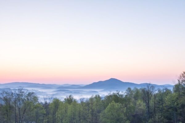 NC High Country Real Estate, Boone, Blowing Rock, Banner Elk, Fleetwood, North Carolina, Linville, NC Homes for Sale, Land For Sale, Sugar Mountain Homes for sale, West Jefferson NC Homes for sale, The coolest Corner