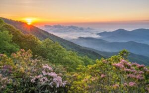 Banner Elk cabins for sale nc high country real estate, Lori Eastridge Real Estate Agent, Jefferson, Boone, Blowing Rock, Banner Elk, Sparta, Beech Mountain, Sugar Mountain, Real Estate Agent, Best local Real Estate Agent, NC High Country Real Estate