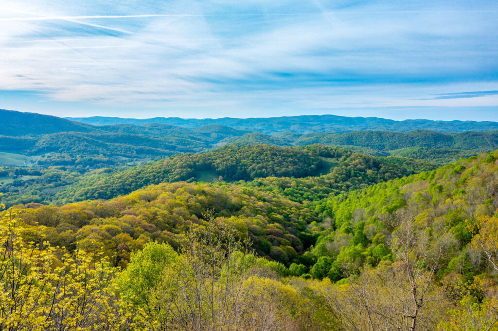 Sugar Mountain Homes, Blue Ridge Real Estate, NC Mountain Properties, Lori Eastridge Realtor, Ski Homes in North Carolina, High Country Real Estate, North Carolina Second Homes, Mountain Getaways NC, nc realtor, lori eastridge real estate agent, ski beech. mountain, nc high country real estate, luxury homes for sale Blowing Rock, Blowing Rock real estate trends, mountain home real estate NC, historic home prep Blowing Rock, Blue Ridge property expert, Blowing Rock real estate agent, cabin staging tips, local realtor Blowing Rock NC, best time to sell house in Blowing Rock, how to sell a cabin in Blowing Rock, marketing mountain homes, second home market NC, High Country luxury listings, buy a home in West Jefferson NC, mountain homes for sale West Jefferson, West Jefferson NC real estate, cabins for sale in Ashe County NC, High Country mountain homes, affordable mountain homes NC, best places to buy in West Jefferson NC, vacation homes NC mountains, real estate agent West Jefferson NC, buying a cabin in Ashe County, how to buy a mountain home, mountain property guide NC, retire in West Jefferson NC, second home in NC mountains, West Jefferson vacation properties, NC High Country property search, Blue Ridge mountain homes, rustic homes for sale NC, High Country REALTOR Lori Eastridge, first-time mountain home buyer tips, elevation and view impact on home value, buy land in NC mountains, land for sale in the mountain, mountain property for sale