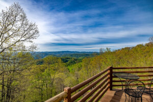 1303 homestead 7