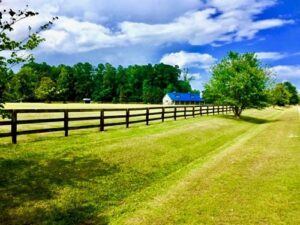 Equestrian Properties, horse property NC, equestrian land sales, mountain horse farms, NC mountain properties, horse real estate North Carolina, NC horse barns, mountain ranch homes, High Country NC land, North Carolina horse properties, Boone horse property 