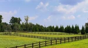 horse farms for sale in NC, NC equestrian properties, horse property North Carolina North Carolina horse farms, equestrian homes NC, farms with stables NC, horse real estate NC, horse ranch NC, NC farmhouses with land