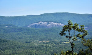 North Carolina Mountain Land for Sale mountain land in NC, land for sale Boone NC, High Country land, acreage in Blowing Rock, buy land in West Jefferson NC, land with views NC, North Carolina mountain property, Blue Ridge land for sale, land for cabins NC