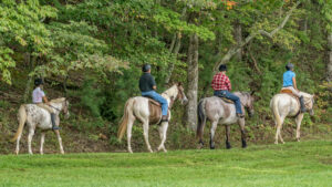 horse communities in north carolina, NC equestrian communities, North Carolina horse properties, NC horse farms for sale, equestrian real estate NC, mountain horse communities NC, horse property NC, Realtor Lori Eastridge