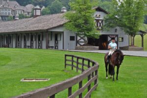 horse farms for sale in north carolina, North Carolina horse properties, NC equestrian farms, equestrian real estate North Carolina, NC horse ranches, mountain horse farms NC, acreage for horses NC, Realtor Lori Eastridge
