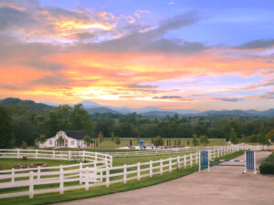 horse farm for sale in nc, NC horse properties, equestrian farms NC, North Carolina acreage, farm land NC, equestrian real estate NC, horse properties for sale NC