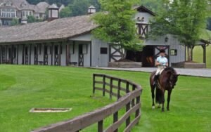 horse stables near me for sale nc, NC horse properties, equestrian estates NC, horse barns for sale NC, North Carolina acreage, farm land NC, equestrian real estate NC