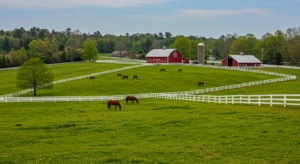 north carolina equestrian properties, NC horse farms, equestrian properties NC, mountain horse land NC, horse acreage NC, horse barns for sale NC, NC mountain equestrian homes
