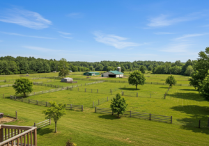 horse farms for sale north carolina, North Carolina horse farms, equestrian property NC, horse land for sale NC, NC farms for sale, equestrian estates North Carolina