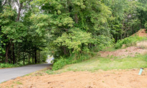 land for sale in west jefferson nc, West Jefferson NC land for sale, mountain land West Jefferson NC, Ashe County land for sale, buildable land West Jefferson NC, North Carolina mountain land, acreage for sale West Jefferson NC, investment land West Jefferson NC, Blue Ridge mountain land NC