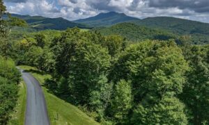 land for sale newland nc, Newland NC land for sale, Avery County land for sale, mountain land Newland NC, buildable land Newland NC, North Carolina mountain land, acreage for sale Newland NC, investment land Newland NC, Blue Ridge land for sale NC