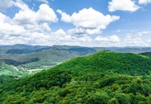 land for sale newland nc, Newland NC land for sale, Avery County land for sale, mountain land Newland NC, buildable land Newland NC, North Carolina mountain land, acreage for sale Newland NC, investment land Newland NC, Blue Ridge land for sale NC