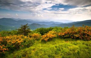 land in nc mountains, NC mountain land for sale, North Carolina mountain land, Blue Ridge mountain land NC, land for sale NC mountains, acreage in NC mountains, buildable land NC mountains, mountain land investment NC, Western NC land for sale